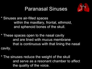 * Sinuses are air-filled spaces  within the maxillary, frontal, ethmoid,  and sphenoid bones of the skull.  * These spaces open to the nasal cavity  and are lined with mucus membrane  that is continuous with that lining the nasal cavity.  * The sinuses reduce the weight of the skull  and serve as a resonant chamber to affect  the quality of the voice.  Paranasal Sinuses 