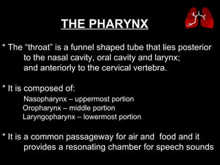 * The “throat” is a funnel shaped tube that lies posterior  to the nasal cavity, oral cavity and larynx;  and anteriorly to the cervical vertebra.   * It is composed of: Nasopharynx – uppermost portion Oropharynx – middle portion Laryngopharynx – lowermost portion * It is a common passageway for air and  food and it  provides a resonating chamber for speech sounds THE PHARYNX 