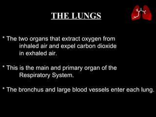 * The two organs that extract oxygen from  inhaled air and expel carbon dioxide  in exhaled air.  * This is the main and primary organ of the  Respiratory System. * The bronchus and large blood vessels enter each lung. THE LUNGS 