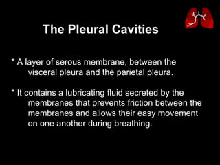 * A layer of serous membrane, between the  visceral pleura and the parietal pleura.  * It contains a lubricating fluid secreted by the  membranes that prevents friction between the  membranes and allows their easy movement  on one another during breathing.  The Pleural Cavities 