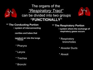 The organs of the  “ Respiratory Tract”   can be divided into two groups “ FUNCTIONALLY” ** The Conducting Portion -  system of interconnecting  cavities and tubes that  conduct air into the lungs ** The Respiratory Portion -  system where the exchange of  respiratory gases occurs * Nose * Pharynx  * Larynx * Trachea * Bronchi * Respiratory  bronchioles  * Alveolar Ducts * Alveoli 