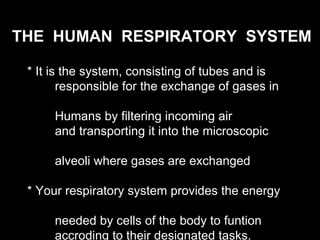 * It is the system, consisting of tubes and is  responsible for the exchange of gases in  Humans by filtering incoming air...
