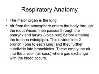 Respiratory system | PPT