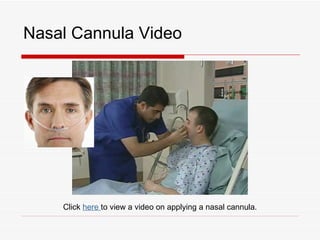 Nasal Cannula Video




    Click here to view a video on applying a nasal cannula.
 