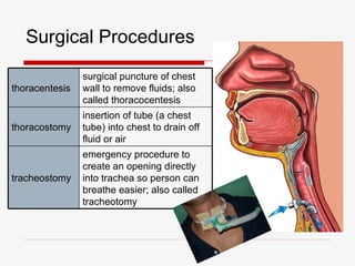 Surgical Procedures
                surgical puncture of chest
thoracentesis   wall to remove fluids; also
                called thoracocentesis
                insertion of tube (a chest
thoracostomy    tube) into chest to drain off
                fluid or air
                emergency procedure to
                create an opening directly
tracheostomy    into trachea so person can
                breathe easier; also called
                tracheotomy
 