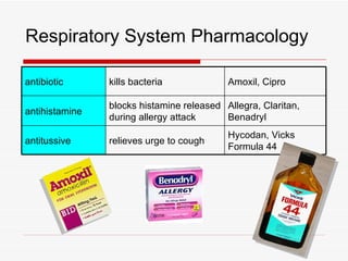 Respiratory System Pharmacology

antibiotic      kills bacteria             Amoxil, Cipro

                blocks histamine released Allegra, Claritan,
antihistamine
                during allergy attack     Benadryl
                                           Hycodan, Vicks
antitussive     relieves urge to cough
                                           Formula 44
 