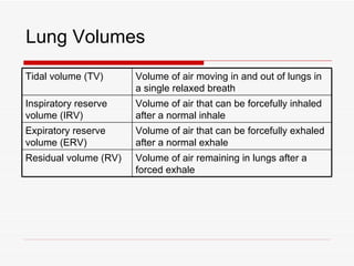 Lung Volumes
Tidal volume (TV)      Volume of air moving in and out of lungs in
                       a single relaxed breath
Inspiratory reserve    Volume of air that can be forcefully inhaled
volume (IRV)           after a normal inhale
Expiratory reserve     Volume of air that can be forcefully exhaled
volume (ERV)           after a normal exhale
Residual volume (RV)   Volume of air remaining in lungs after a
                       forced exhale
 