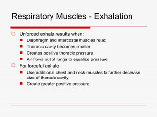Respiratory Muscles - Exhalation
 Unforced exhale results when:
      Diaphragm and intercostal muscles relax
      Thoracic cavity becomes smaller
      Creates positive thoracic pressure
      Air flows out of lungs to equalize pressure
 For forceful exhale
    Use additional chest and neck muscles to further decrease
     size of thoracic cavity
    Create greater positive pressure
 