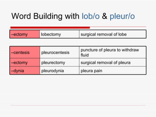 Word Building with lob/o & pleur/o

–ectomy     lobectomy        surgical removal of lobe


                             puncture of pleura to withdraw
–centesis   pleurocentesis
                             fluid
–ectomy     pleurectomy      surgical removal of pleura
–dynia      pleurodynia      pleura pain
 