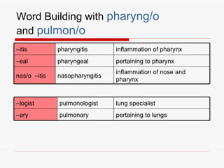 Word Building with pharyng/o
and pulmon/o
–itis         pharyngitis       inflammation of pharynx
–eal          pharyngeal        pertaining to pharynx
                                inflammation of nose and
nas/o –itis   nasopharyngitis
                                pharynx


–logist       pulmonologist     lung specialist
–ary          pulmonary         pertaining to lungs
 