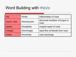 Word Building with rhin/o

–itis         rhinitis       inflammation of nose
                             abnormal condition of fungus in
myc/o –osis   rhinomycosis
                             nose
–plasty       rhinoplasty    surgical repair of nose
–rrhagia      rhinorrhagia   rapid flow (of blood) from nose
–rrhea        rhinorrhea     nose discharge
 