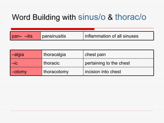 Word Building with sinus/o & thorac/o

pan– –itis   pansinusitis   inflammation of all sinuses



–algia       thoracalgia    chest pain
–ic          thoracic       pertaining to the chest
–otomy       thoracotomy    incision into chest
 