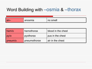 Word Building with –osmia & –thorax

an–       anosmia        no smell



hem/o     hemothorax     blood in the chest
py/o      pyothorax      pus in the chest
pneum/o   pneumothorax   air in the chest
 