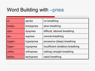 Word Building with –pnea

a–       apnea       no breathing
brady–   bradypnea   slow breathing
dys–     dyspnea     difficult, labored breathing
eu–      eupnea      normal breathing
hyper–   hyperpnea   excessive (deep) breathing
hypo–    hypopnea    insufficient (shallow) breathing
ortho–   orthopnea   (sitting) straight breathing
tachy–   tachypnea   rapid breathing
 