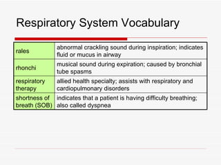 Respiratory System Vocabulary
               abnormal crackling sound during inspiration; indicates
rales
               fluid or mucus in airway
               musical sound during expiration; caused by bronchial
rhonchi
               tube spasms
respiratory    allied health specialty; assists with respiratory and
therapy        cardiopulmonary disorders
shortness of indicates that a patient is having difficulty breathing;
breath (SOB) also called dyspnea
 