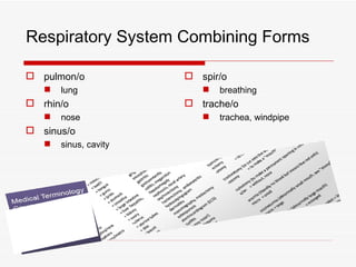 Respiratory System Combining Forms

 pulmon/o              spir/o
      lung                  breathing
 rhin/o                trache/o
      nose                  trachea, windpipe
 sinus/o
      sinus, cavity
 