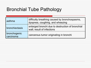 Bronchial Tube Pathology
                 difficulty breathing caused by bronchospasms,
asthma
                 dyspnea, coughing, and wheezing
                 enlarged bronchi due to destruction of bronchial
bronchiectasis
                 wall; result of infections
bronchogenic
                 cancerous tumor originating in bronchi
carcinoma
 