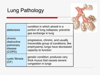 Lung Pathology

                  condition in which alveoli in a
atelectasis       portion of lung collapses; prevents
                  gas exchange in lung
chronic
                  progressive, chronic, and usually
obstructive
                  irreversible group of conditions; like
pulmonary
                  emphysema; lungs have decreased
disease
                  capacity to function
(COPD)
                  genetic condition; produces very
cystic fibrosis
                  thick mucus that causes severe
(CF)
                  congestion in lungs
 
