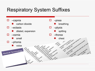 Respiratory System Suffixes
 –capnia                    –pnea
      carbon dioxide             breathing
 –ectasis                   –ptysis
      dilated, expansion         spitting
 –osmia                     –thorax
      smell                      chest
 –phonia
      voice
 