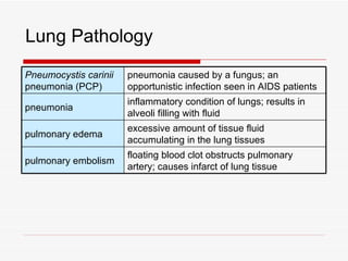 Lung Pathology
Pneumocystis carinii   pneumonia caused by a fungus; an
pneumonia (PCP)        opportunistic infection seen in AIDS patients
                       inflammatory condition of lungs; results in
pneumonia
                       alveoli filling with fluid
                       excessive amount of tissue fluid
pulmonary edema
                       accumulating in the lung tissues
                       floating blood clot obstructs pulmonary
pulmonary embolism
                       artery; causes infarct of lung tissue
 