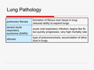 Lung Pathology
                     formation of fibrous scar tissue in lung;
pulmonary fibrosis
                     reduced ability to expand lungs
severe acute
                     acute viral respiratory infection; begins like flu
respiratory
                     but quickly progresses; very high mortality rate
syndrome (SARS)
                     type of pneumoconiosis; accumulation of silica
silicosis
                     dust in lungs
 