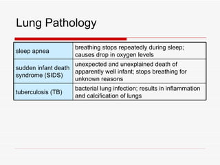 Lung Pathology
                     breathing stops repeatedly during sleep;
sleep apnea
                     causes drop in oxygen levels
                    unexpected and unexplained death of
sudden infant death
                    apparently well infant; stops breathing for
syndrome (SIDS)
                    unknown reasons
                     bacterial lung infection; results in inflammation
tuberculosis (TB)
                     and calcification of lungs
 
