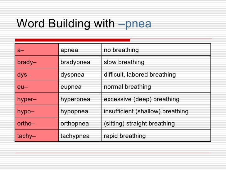 Respiratory System