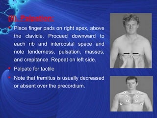 Respiratory system | PPT