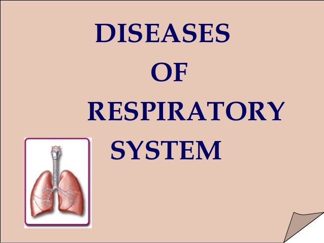 disease of the respiratory system essay Read this science term paper and over 87,000 other research documents asthma: disease of the respiratory system asthma: disease of the respiratory system. disease of the respiratory system essay Read this science term paper and over 87,000 other research documents asthma: disease of the respiratory system asthma: disease of the respiratory system.