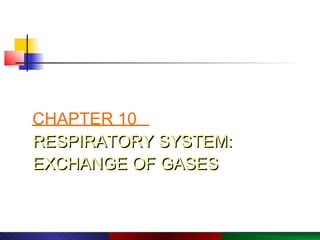 PowerPoint® Lecture Slide Presentation by Robert J. Sullivan, Marist College



               Human Biology



CHAPTER 10
RESPIRATORY SYSTEM:
EXCHANGE OF GASES


           Copyright © 2003 Pearson Education, Inc. publishing as Benjamin Cummings.
 