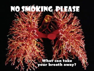 No Smoking Please
 