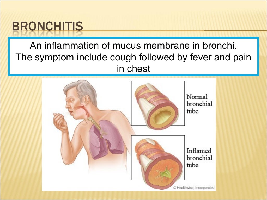 Grade 8 - Respiratory System