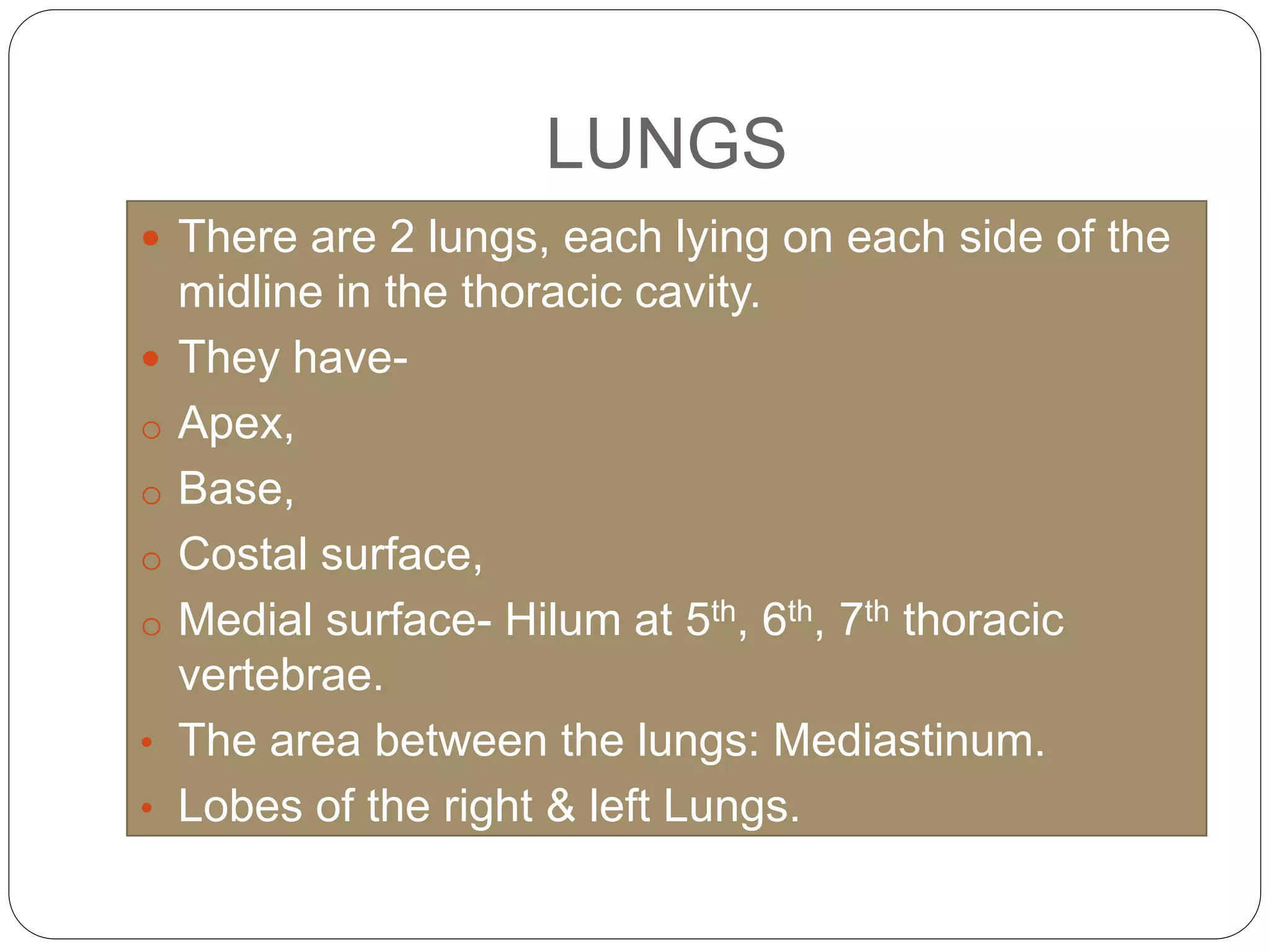 Respiratory system | PPTX
