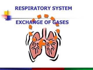 PowerPoint® Lecture Slide Presentation by Robert J. Sullivan, Marist College 
RESPIRATORY SYSTEM 
EXCHANGE OF GASES 
Copyright © 2003 Pearson Education, Inc. publishing as Benjamin Cummings. 
 