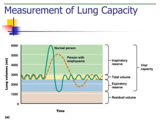 Measurement of Lung Capacity 
Figure 10.10A 
 