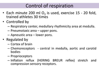 Control of respiration
• Each minute 200 ml O2 is used, exercise 15 - 20 fold,
trained athletes 30 times
• Controlled by
– Respiratory center, medullary rhythmicity area at medulla.
– Pneumotaxic area – upper pons.
– Apneustic area – lower pons.
• Regulated by
– Cortex of brain
– Chemoreceptors - central in medulla, aortic and carotid
bodies
– Proprioceptors
– Inflation reflux (HERING BREUR reflex) stretch and
compression sensory receptors.
 