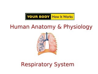 Human Anatomy & Physiology
Respiratory System
 