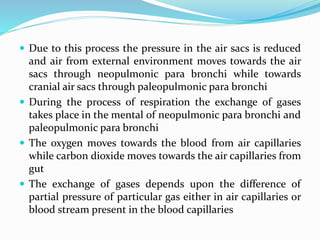  Due to this process the pressure in the air sacs is reduced
and air from external environment moves towards the air
sacs through neopulmonic para bronchi while towards
cranial air sacs through paleopulmonic para bronchi
 During the process of respiration the exchange of gases
takes place in the mental of neopulmonic para bronchi and
paleopulmonic para bronchi
 The oxygen moves towards the blood from air capillaries
while carbon dioxide moves towards the air capillaries from
gut
 The exchange of gases depends upon the difference of
partial pressure of particular gas either in air capillaries or
blood stream present in the blood capillaries
 