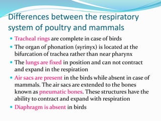 Differences between the respiratory
system of poultry and mammals
 Tracheal rings are complete in case of birds
 The organ of phonation (syrinyx) is located at the
bifurcation of trachea rather than near pharynx
 The lungs are fixed in position and can not contract
and expand in the respiration
 Air sacs are present in the birds while absent in case of
mammals. The air sacs are extended to the bones
known as pneumatic bones. These structures have the
ability to contract and expand with respiration
 Diaphragm is absent in birds
 