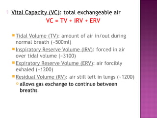  Vital Capacity (VC): total exchangeable air
VC = TV + IRV + ERV
Tidal Volume (TV): amount of air in/out during
normal breath (~500ml)
Inspiratory Reserve Volume (IRV): forced in air
over tidal volume (~3100)
Expiratory Reserve Volume (ERV): air forcibly
exhaled (~1200)
Residual Volume (RV): air still left in lungs (~1200)
 allows gas exchange to continue between
breaths
 