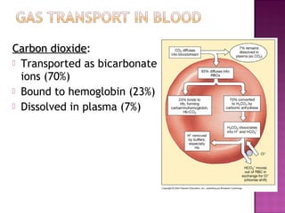 Carbon dioxideCarbon dioxide:
 Transported as bicarbonate
ions (70%)
 Bound to hemoglobin (23%)
 Dissolved in plasma (7%)
 