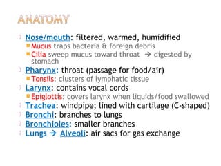  Nose/mouth: filtered, warmed, humidified
Mucus traps bacteria & foreign debris
Cilia sweep mucus toward throat  digested by
stomach
 Pharynx: throat (passage for food/air)
Tonsils: clusters of lymphatic tissue
 Larynx: contains vocal cords
Epiglottis: covers larynx when liquids/food swallowed
 Trachea: windpipe; lined with cartilage (C-shaped)
 Bronchi: branches to lungs
 Bronchioles: smaller branches
 Lungs  Alveoli: air sacs for gas exchange
 