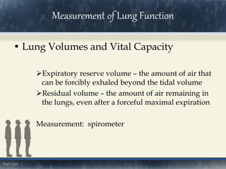 • Lung Volumes and Vital Capacity
Expiratory reserve volume – the amount of air that
can be forcibly exhaled beyond the tidal volume
Residual volume – the amount of air remaining in
the lungs, even after a forceful maximal expiration
Measurement: spirometer
Measurement of Lung Function
 