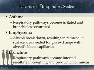 • Asthma
– Respiratory pathways become irritated and
bronchioles constricted
• Emphysema
– Alveoli break down, resulting in reduced in
surface area needed for gas exchange with
alveoli’s blood capillaries
• Bronchitis
– Respiratory pathways become infected
resulting in coughing and production of mucus
Disorders of Respiratory System
 