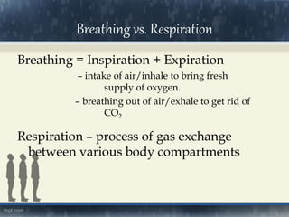 Breathing vs. Respiration
Breathing = Inspiration + Expiration
– intake of air/inhale to bring fresh
supply of oxygen.
– breathing out of air/exhale to get rid of
CO2
Respiration – process of gas exchange
between various body compartments
 