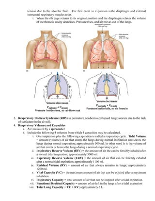 Respiratory system | PDF