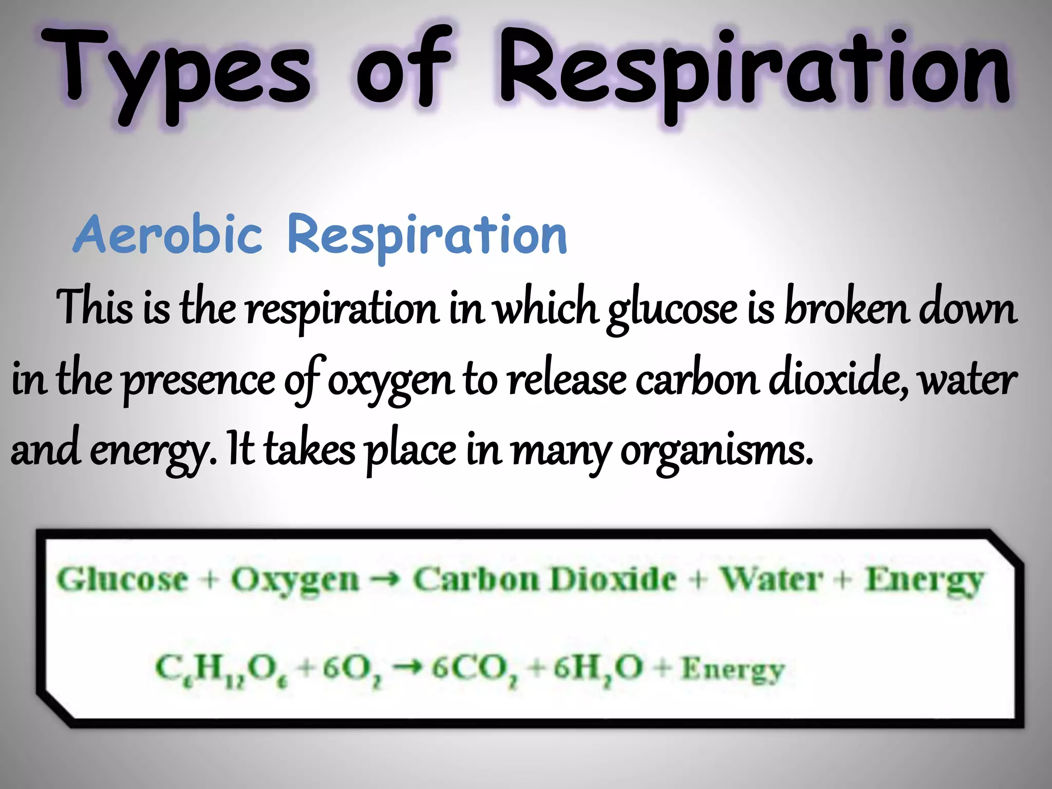 Types of Respiration
Aerobic Respiration
This is the respiration in which glucose is broken down
in the presence of oxygen to release carbon dioxide, water
and energy. It takes place in many organisms.
 