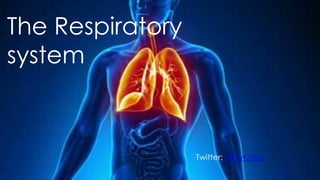 The Respiratory
system
Twitter: @LilyKotze
 