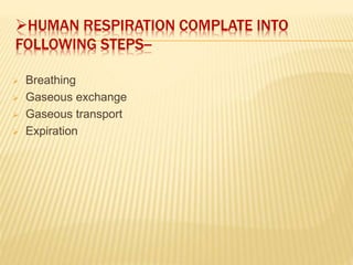 HUMAN RESPIRATION COMPLATE INTO
FOLLOWING STEPS--
 Breathing
 Gaseous exchange
 Gaseous transport
 Expiration
 