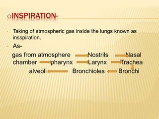 oINSPIRATION-
• Taking of atmospheric gas inside the lungs known as
insspiration.
• As-
gas from atmosphere Nostrils Nasal
chamber pharynx Larynx Trachea
alveoli Bronchioles Bronchi
 